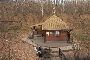 Святой источник блаженной Ксении Петербургской (Евсеево)