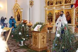 Храм Преображения Господня (Мольгино)