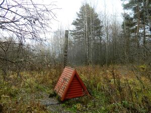 Святой источник Параскевы Пятницы (Туголес).jpg