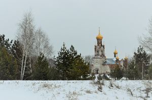 Курганская область (храмы), Храм Крестовское4