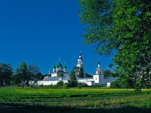 Толгский женский монастырь фото