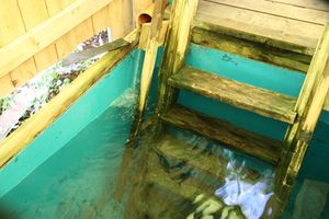 Свято-Тихвинский мужской монастырь (Паздеры)