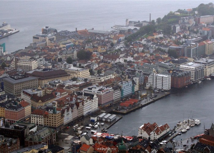 Из дневника священника