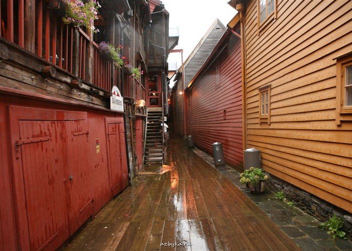 Из дневника священника