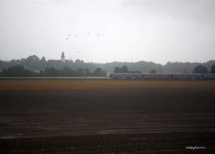 Из дневника священника