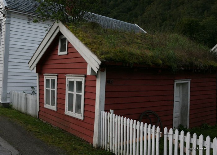 Из дневника священника