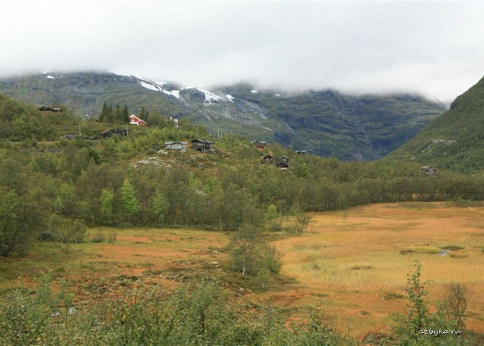 Из дневника священника