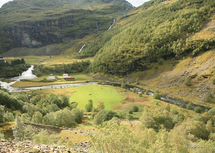 Из дневника священника