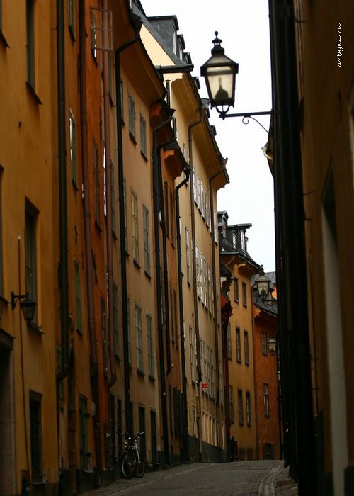 Из дневника священника