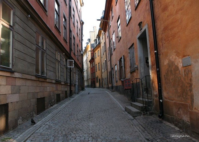 Из дневника священника