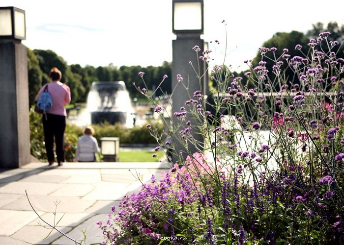 Из дневника священника