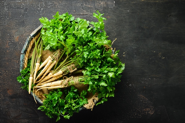 root parsley on a wooden background top view free space for your - Правила хранения корнеплодов