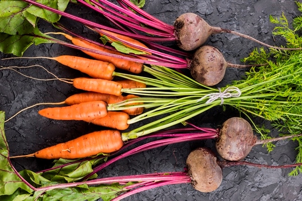 carrots and beetroot top view - Борщевая заправка на зиму