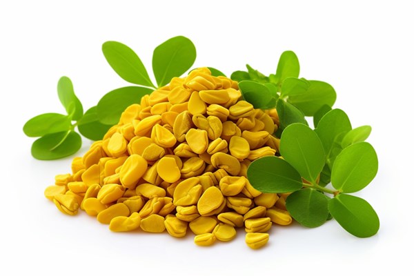 fenugreek with white background high quality ultra - Библия о пище