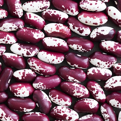 Фасоль пёстрая отварная с пряностями