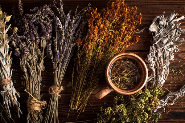 flat lay cup of herbal tea with plants - Чай по-соловецки