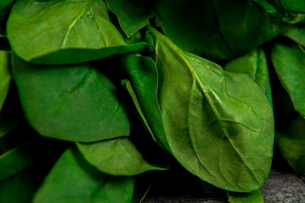 greens on wooden grey table - Ботвинья из сныти и щавеля