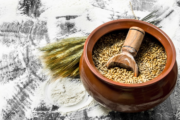 wheat grains with a scoop in a bowl on the stone table - Солод для кваса