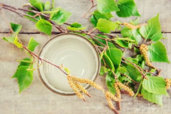 Стременной квас birch sap in a glass selective focus 2 - Стременной квас