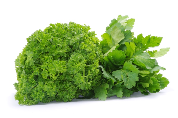 bunch of parsley on a white background - Суп из цветной капусты с протёртым картофелем