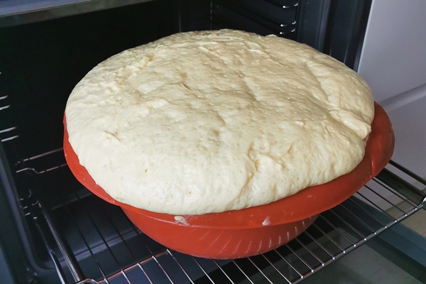 fresh raw yeast dough in a plate after proofing for bread and pizza - Домашние городские булки