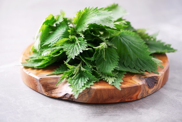 green nettle leaves in wooden pot on grey background alternative herbal medicine stinging nettles urtica skin allergy care 2 - Ботвинья «Весна»