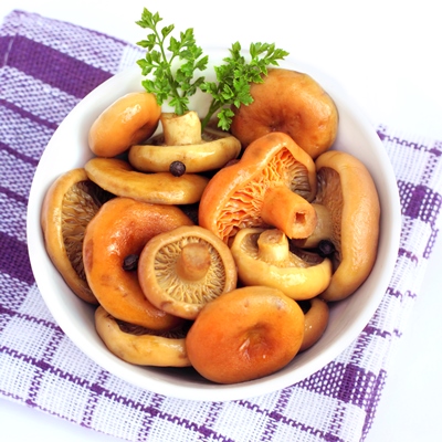 Солёные рыжики простые Солёные рыжики простые