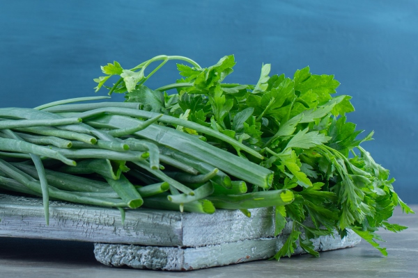 onion and parsley on the plate on the marble table - Ботвинья по-монастырски