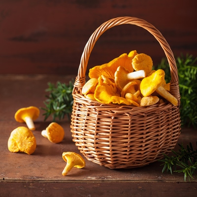 Маринованные лисички Маринованные лисички