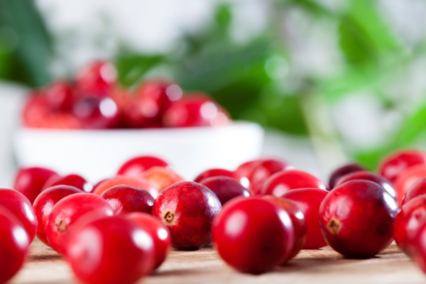 red whole sour healthy cranberries red ripe whole berries cranberries on the table homemade cranberries grown in an industrial garden - Воскресный квас