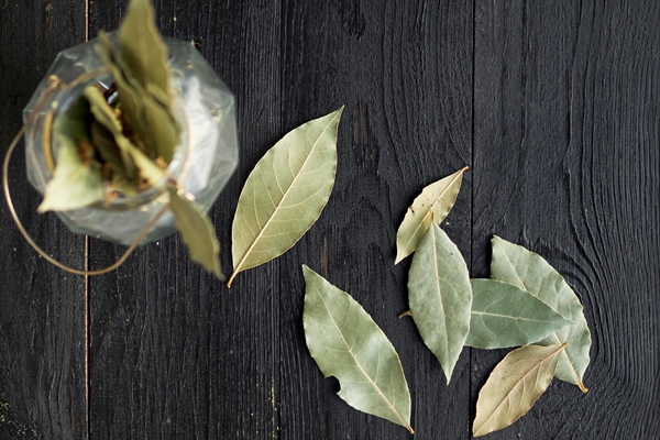 top view dry leaves on wooden background 1 - Щи валаамские с сухими грибами