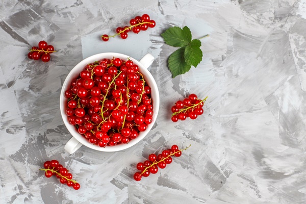 various fresh summer berries blueberries red currant strawberries blackberries top view - Простой суп из свежих ягод