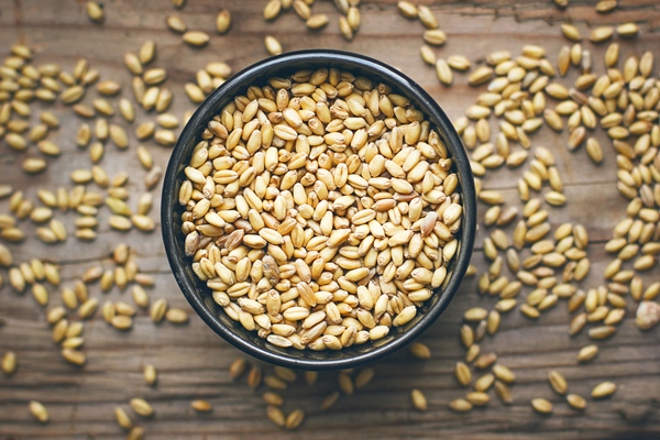 wheat grains in bowl and wheat popcorn in bowl wheat seed rustic - Сочиво "богатое"