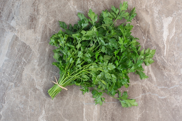 parsley leaves tied up on marble - Канапе с креветками и огурцом