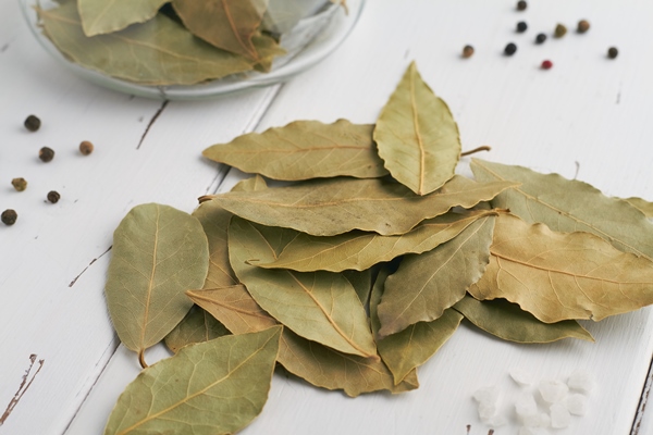 dry bay leaves on white background glass jar peppercorns rock sea satl on white background 1 - Щи зелёные с мясом и яйцом