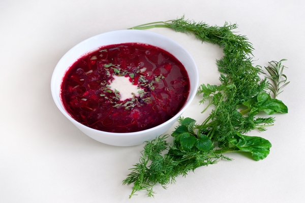 Правила приготовления заправочных супов traditional ukrainian borsch with sour cream - Правила приготовления заправочных супов