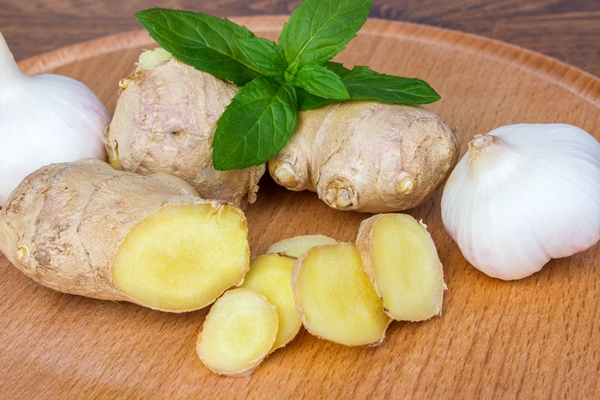 alternative medicine with lemon ginger and garlic - Соус из красной смородины