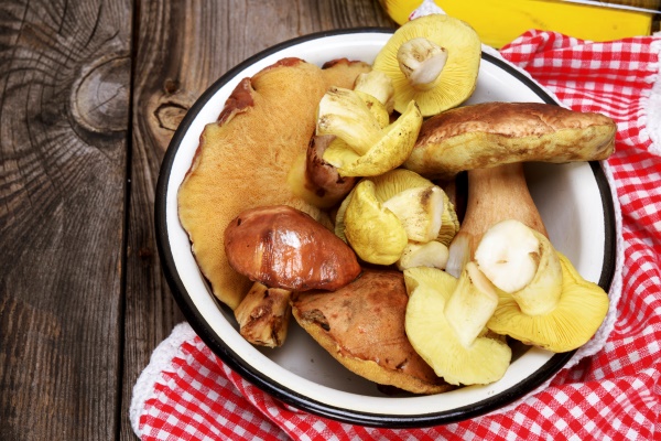 different cut forest mushrooms in an iron plate - Картофельная запеканка с капустой и грибами в горшочке