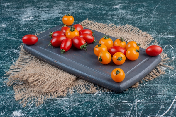 red and yellow cherry tomatoes isolated on blue surface - Салат "Тюльпаны"