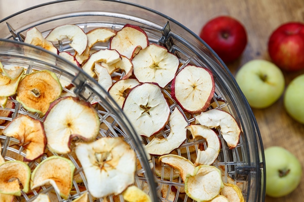 Консервирование пищевых продуктов fresh dryed apple chips prepared in a home fruit and vegetable dryer healthy food concept - Консервирование пищевых продуктов