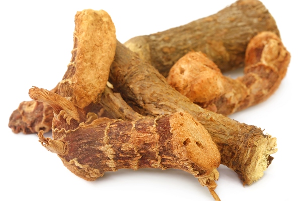 Кулинарное использование аира болотного acorus calamus or medicinal sweet flag over white background - Кулинарное использование аира болотного