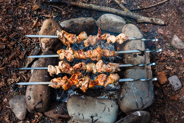 Рецепты выживания в лесу chicken shish kebab at the stake - Рецепты выживания в лесу