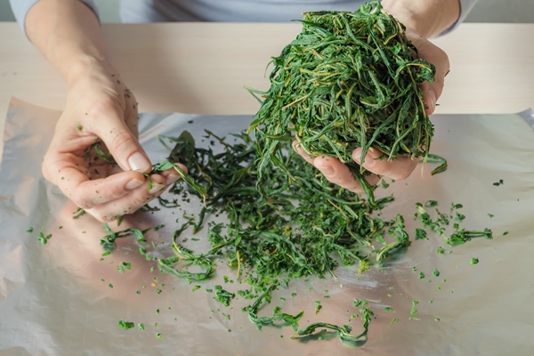 Иван-чай fermentation process of tea leaves manual production koporye tea ivan tea - Иван-чай