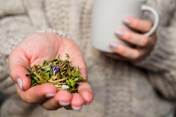 Иван-чай girl in sweater sipping tea with herbs - Иван-чай