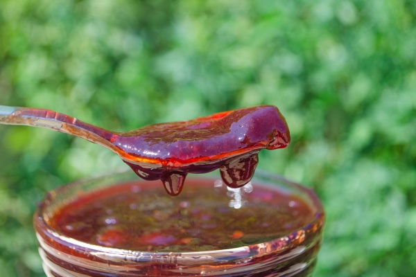 Кулинарное использование аира болотного homemade plum jam bowl of plum jam - Кулинарное использование аира болотного