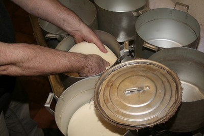 photo519t - Артос