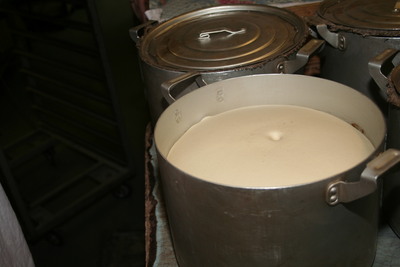 photo548t - Артос