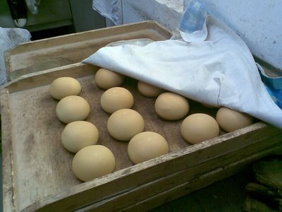 Литийный хлеб