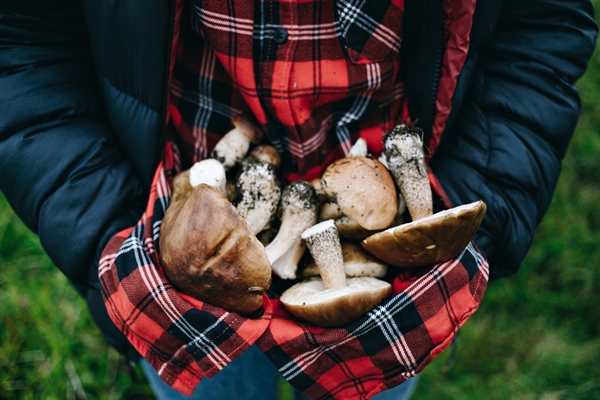 Рецепты выживания в лесу woman hold fresh picked wild mushrooms - Рецепты выживания в лесу