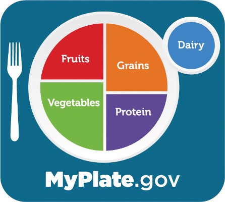 myplate blue 0 - Пирамида питания